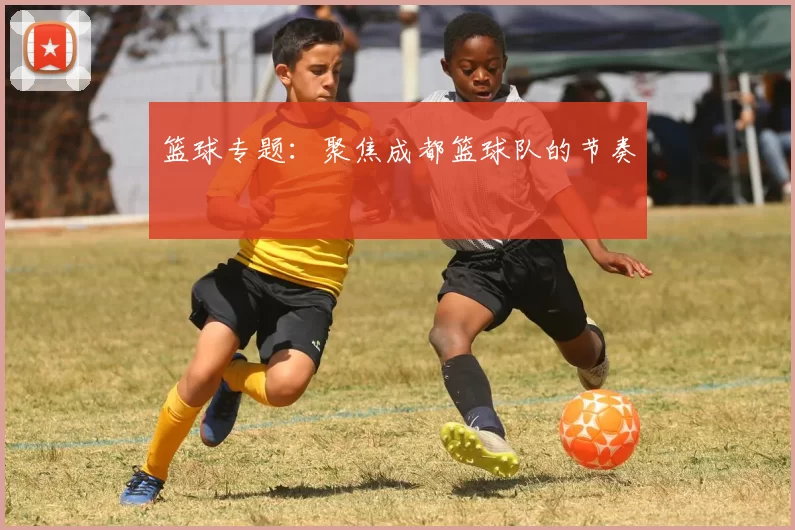 篮球专题：聚焦成都篮球队的节奏