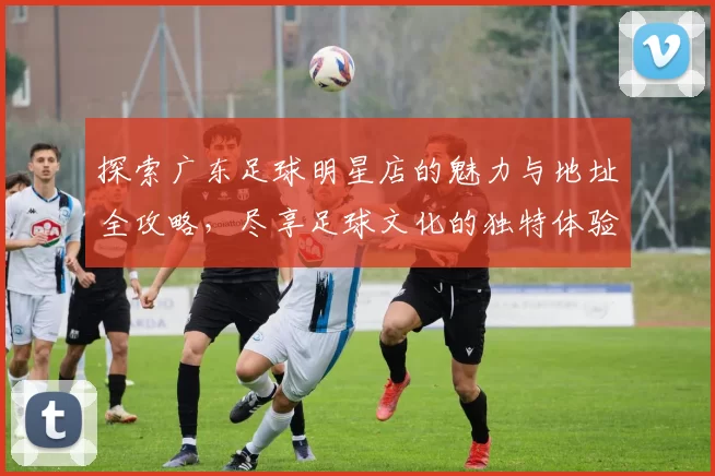 探索广东足球明星店的魅力与地址全攻略，尽享足球文化的独特体验