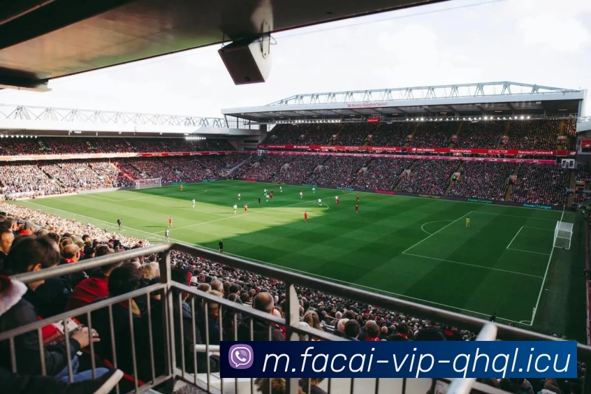 乐竞体育品牌故事